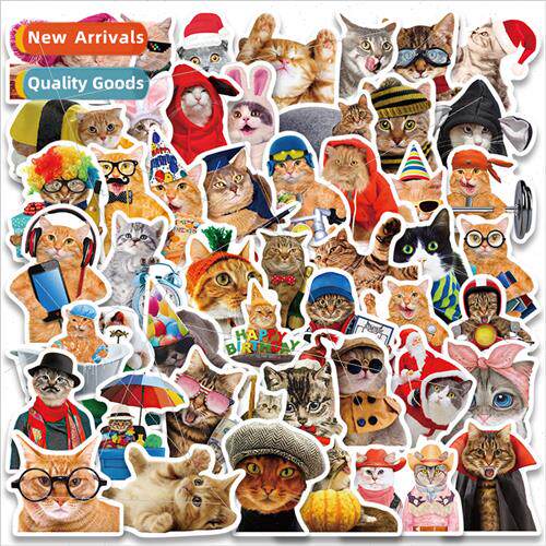 50 Cute Hip Hop Funny Cat Stickers ggage Guitar Skateboard M