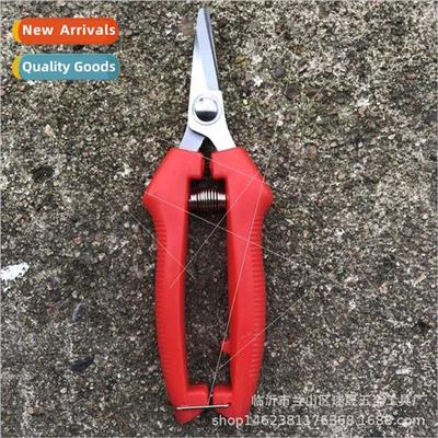 Serrated Fruit Shears Fruit Picking Shears Serrated Fruit Pi