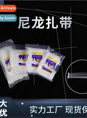 Nylon Cable Ties -Locking Hangtag Ties Plastic Ties 3x1004x2