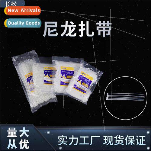 Nylon Cable Ties -Locking Hangtag Ties Plastic Ties 3x1004x2