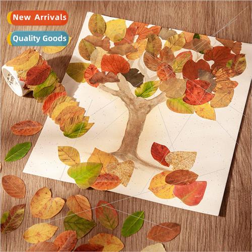 Beautiful day shaped tape Champs leaves series creative art