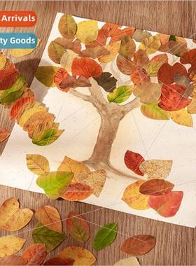 Beautiful day shaped tape Champs leaves series creative art