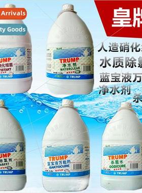 Hong Kong Tsangs Royal trifying Bacteria Concentrated Orname