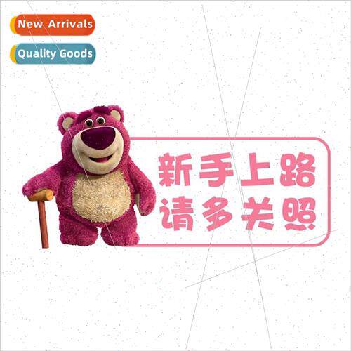 Magnetic stickers internship car stickers novice female driv