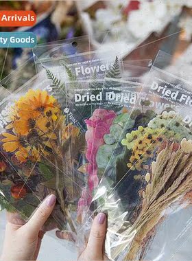 Strangerland PET Large ze Stickers Weekend Flower Shop Serie