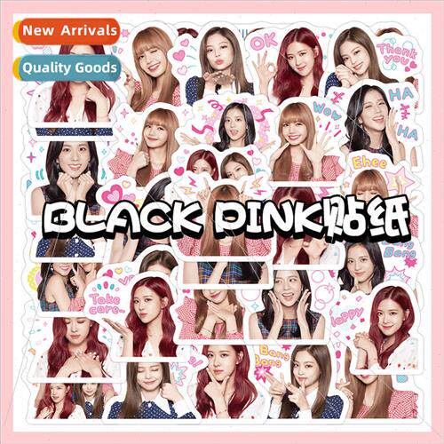 40 Blackpink stickers Korean girl group beauty star  diary h