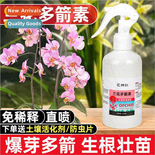 Orchid Multi-Arrow Vegetable Phalaenopsis Flower Fertilizer