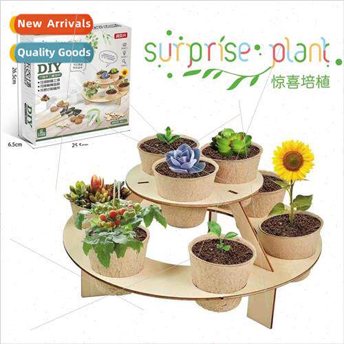 Childrens gardening planting set science planting observatio