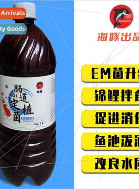 Dolphin new product intestinal colonization bacteria rich in