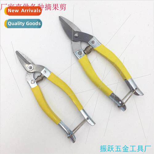 Stainless steel fruit picking scissors citrus scissors round