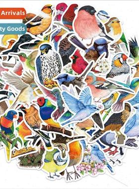 50 colorful bird animal graffiti stickers can be decorated l