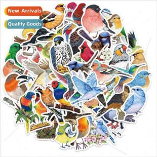 animal graffiti decorated colorful bird can stickers