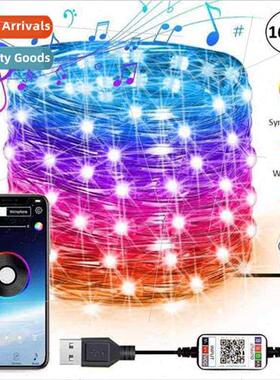 String lights led lights APP copper wire USB bluetooth RGB s