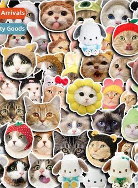Cute cat head emoji pack of 50 kitten stickers decorative st