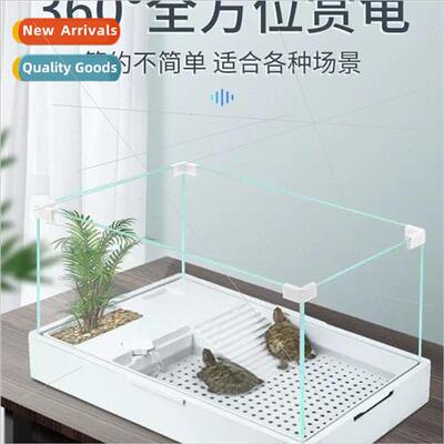 Turtle aquarium breeding tank small glass aquascape ecologic