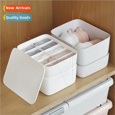 Home Underwear Storage Box Plastic Compartment Storage Box B
