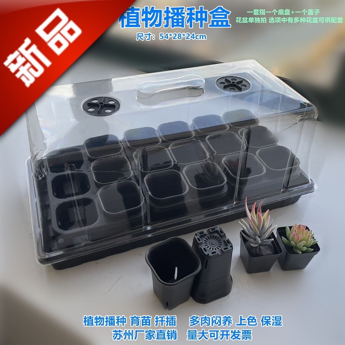 。加高育苗盒三件套扦插