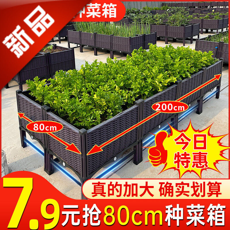 。种菜专用箱种植箱楼顶