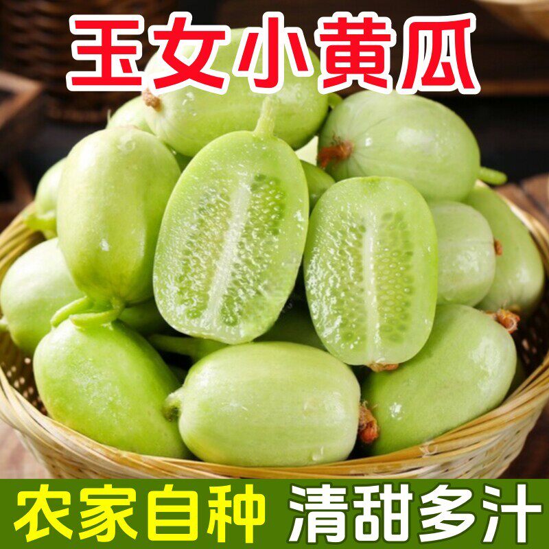 玉女黄瓜新鲜拇指小黄瓜水果生吃图片