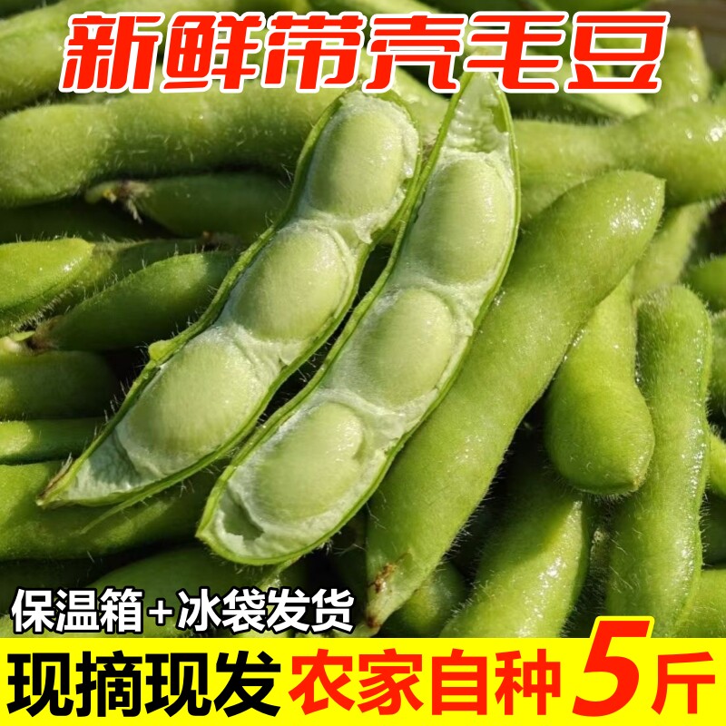 毛豆新鲜带壳青豆子毛豆农家自种鲜嫩大青豆新摘当季时令蔬菜带箱