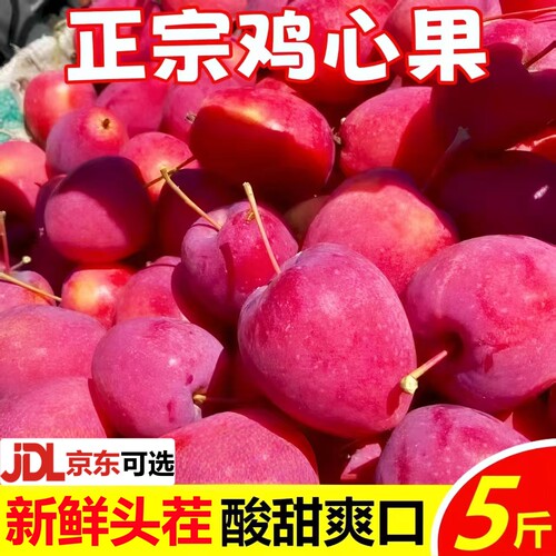 【现货】正宗东北鸡心果小苹果