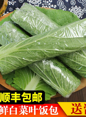 打饭包菜叶东北大白菜叶饭包叶即食蘸酱蔬菜包饭菜新鲜白菜叶送酱
