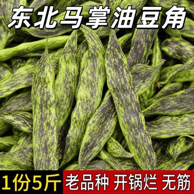 东北马掌油豆角新鲜农家蔬菜