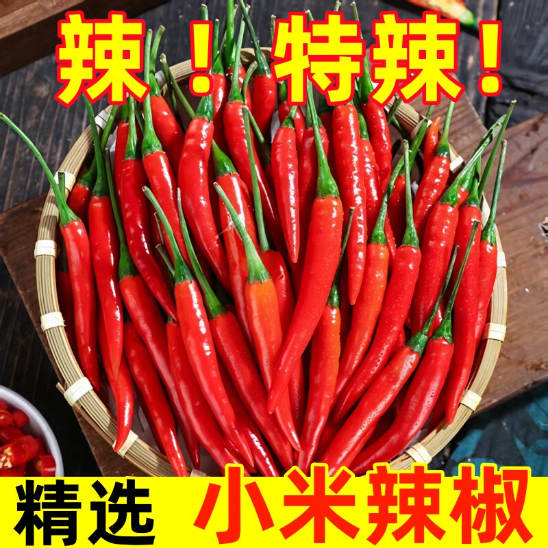 小米辣椒新鲜现摘朝天椒批发小米椒特辣批发红辣泡椒当季蔬菜包邮