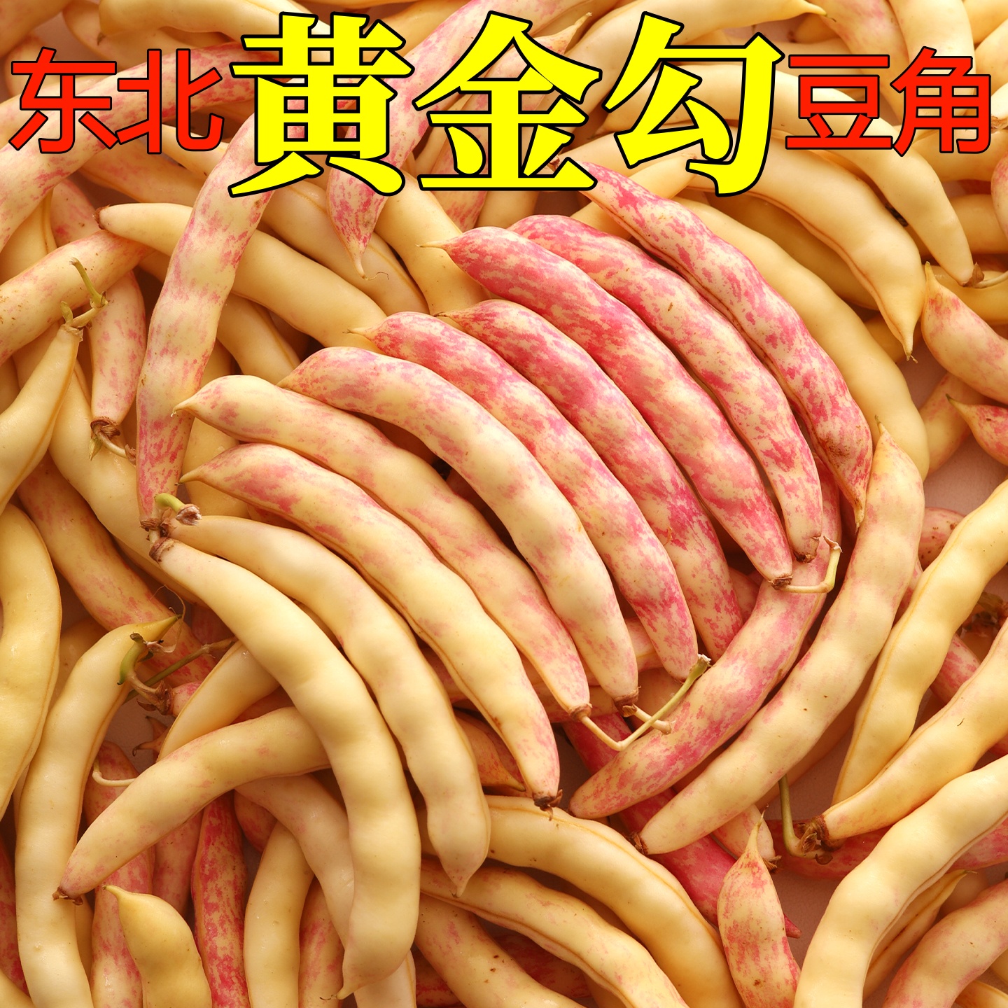 现摘现发丨东北油豆角黄金勾新鲜