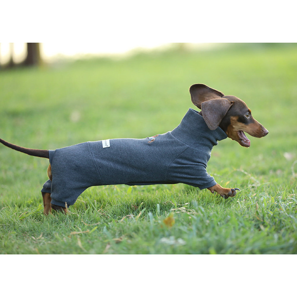 小腊肠狗宠物衣服狗狗服装秋冬