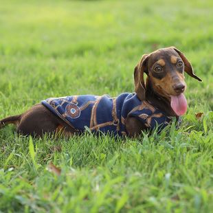 Rainbow Goddess潮牌宠物服装纯棉印花欧风腊肠狗马甲小型犬背心