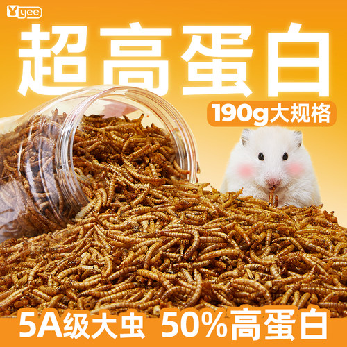 意牌小仓鼠粮食面包虫干芦丁鸡
