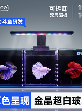 yee超白斗鱼缸玻璃背滤多格隔离带过滤客厅小型生态斗鱼双缸排缸