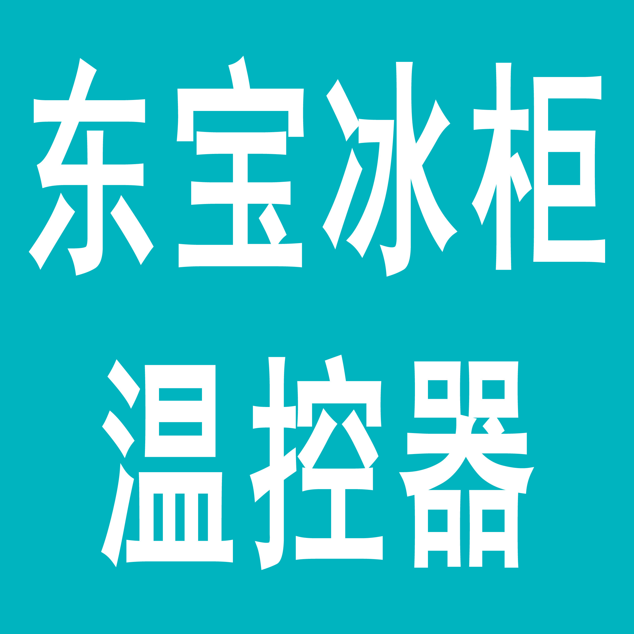 东宝冰柜冷柜展示柜温控器机械调温开关弧形玻璃门食品框网篮挂盒