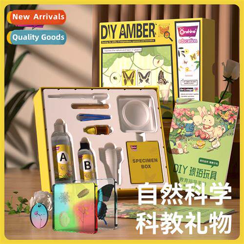 Real insect plant specimen resin bugs amber butterfly making