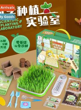 Childrens planting toys sprouting bean sprouts seedling tray