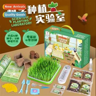 sprouting toys bean sprouts tray Childrens seedling planting