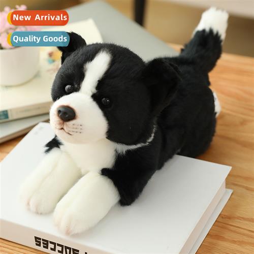 Cute imati border collie dog doll black  whe small puppy cut