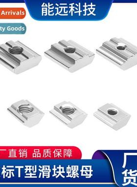 Aluminum Prile Ftings an Stard 20/30 Slider Nuts Galvanized