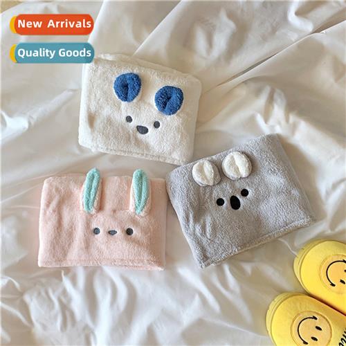 South Korea ins three-dimensial bear coral flannel st dry  c