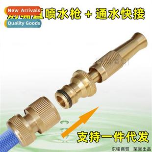 spray gun nipple Pure quick straight plug copper