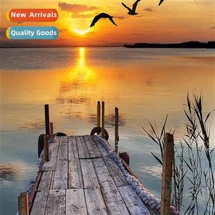 Diamd painting new DIY seaside scenery bridge full  round di