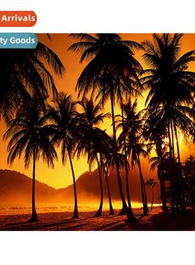 New dusk cocut e diamd painting full  diamd hmade spot cross