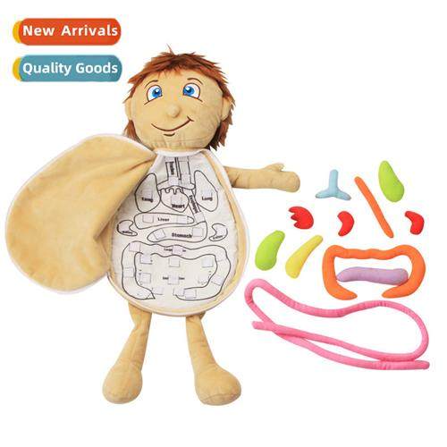 Childrens cloth body structure puzzle dolls boys  girls huma