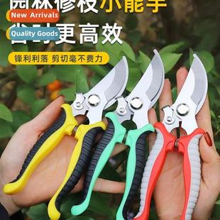 scissors Flower gardening shears labo pruning