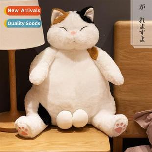Two Cat Japanese Available Colors Doll Toy Plush Egg Lazy