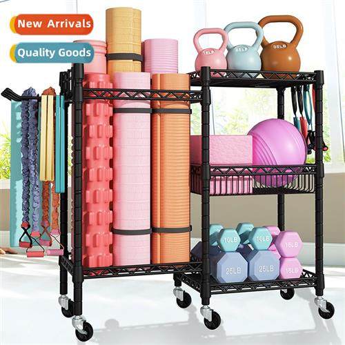 Multi-layer yoga mat dumbbell storage rack ir gym equipment