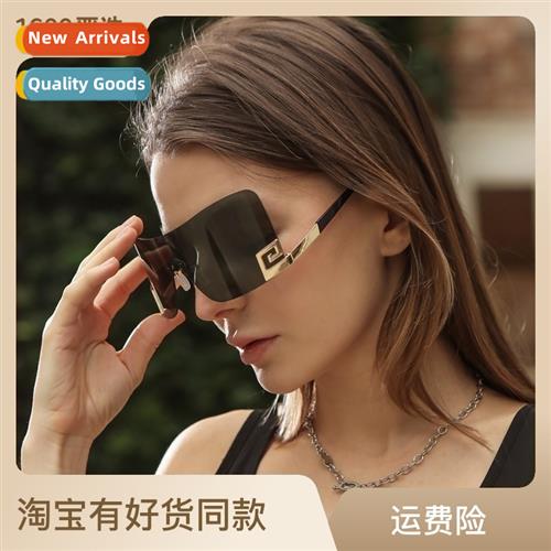 6011 large frame e- sunglasses 2023Y2K persalized versatile