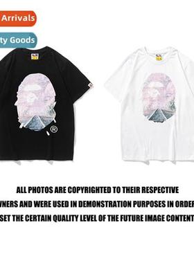 Japanese Tide Sarutobi Sakura Trail Limed Edi T-Shirt