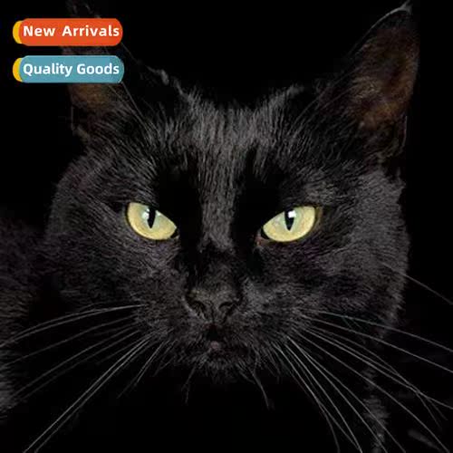 Cross Stch New DIY Cat Full Stch Simple Hmade Thread Embroid